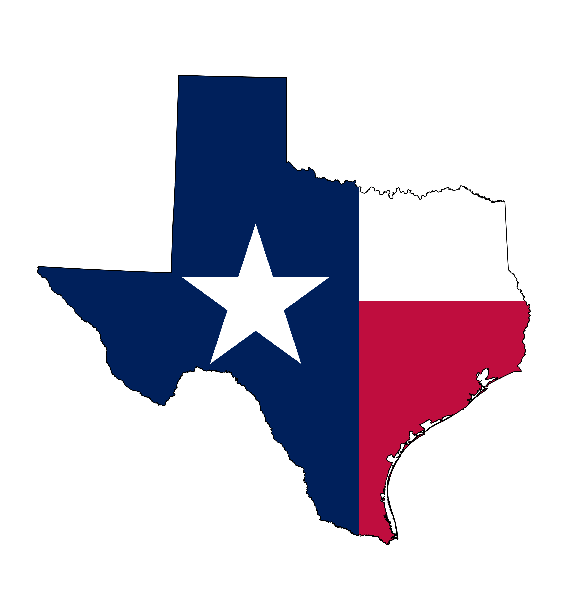 Texas Senate Election Winner