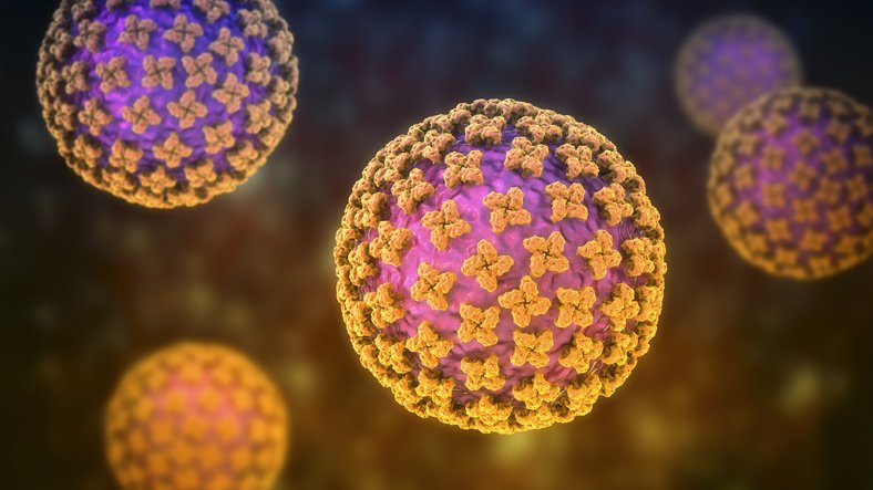 Pandemia de hantavírus em 2026?