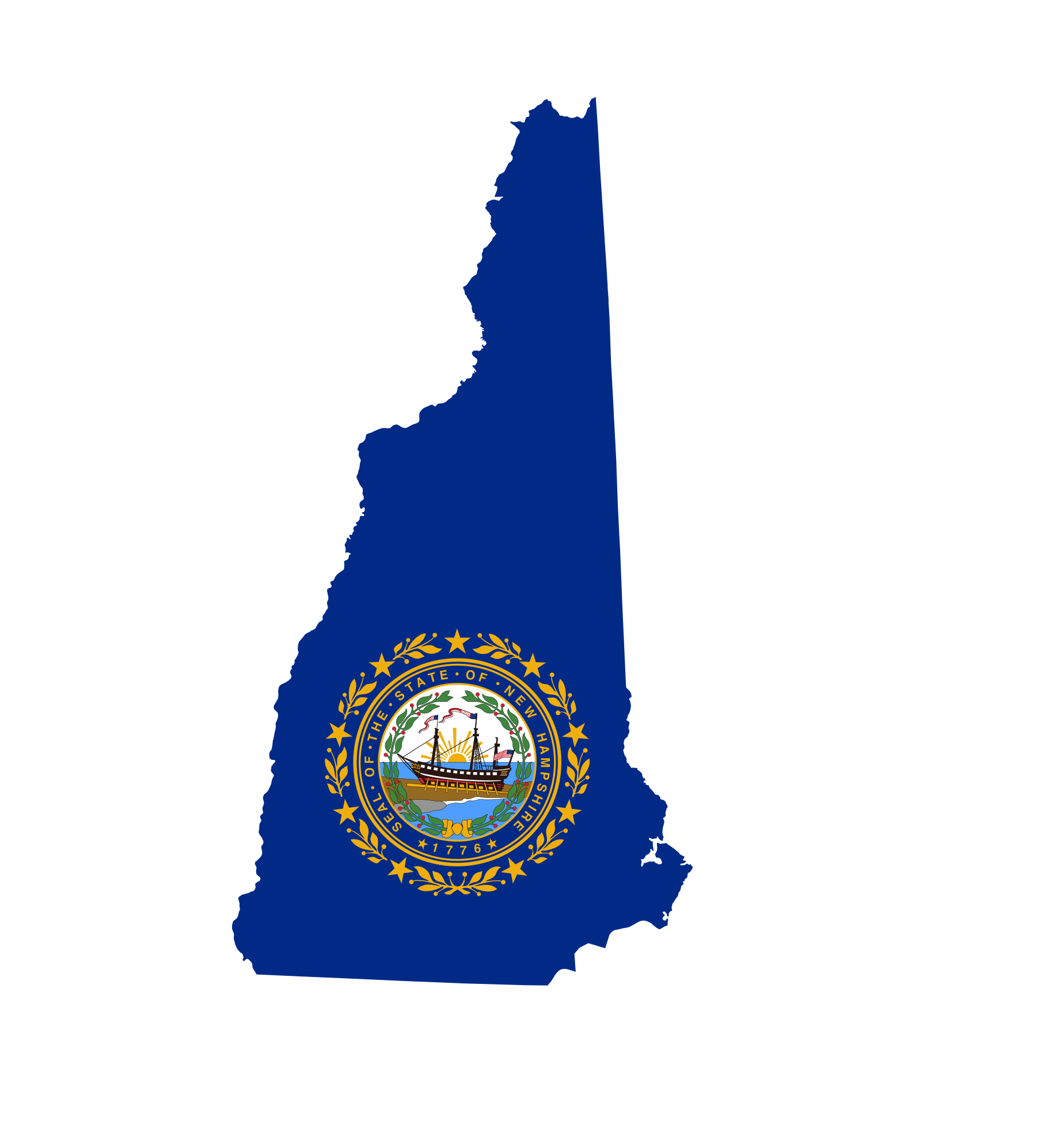 New Hampshire Senate Election Winner