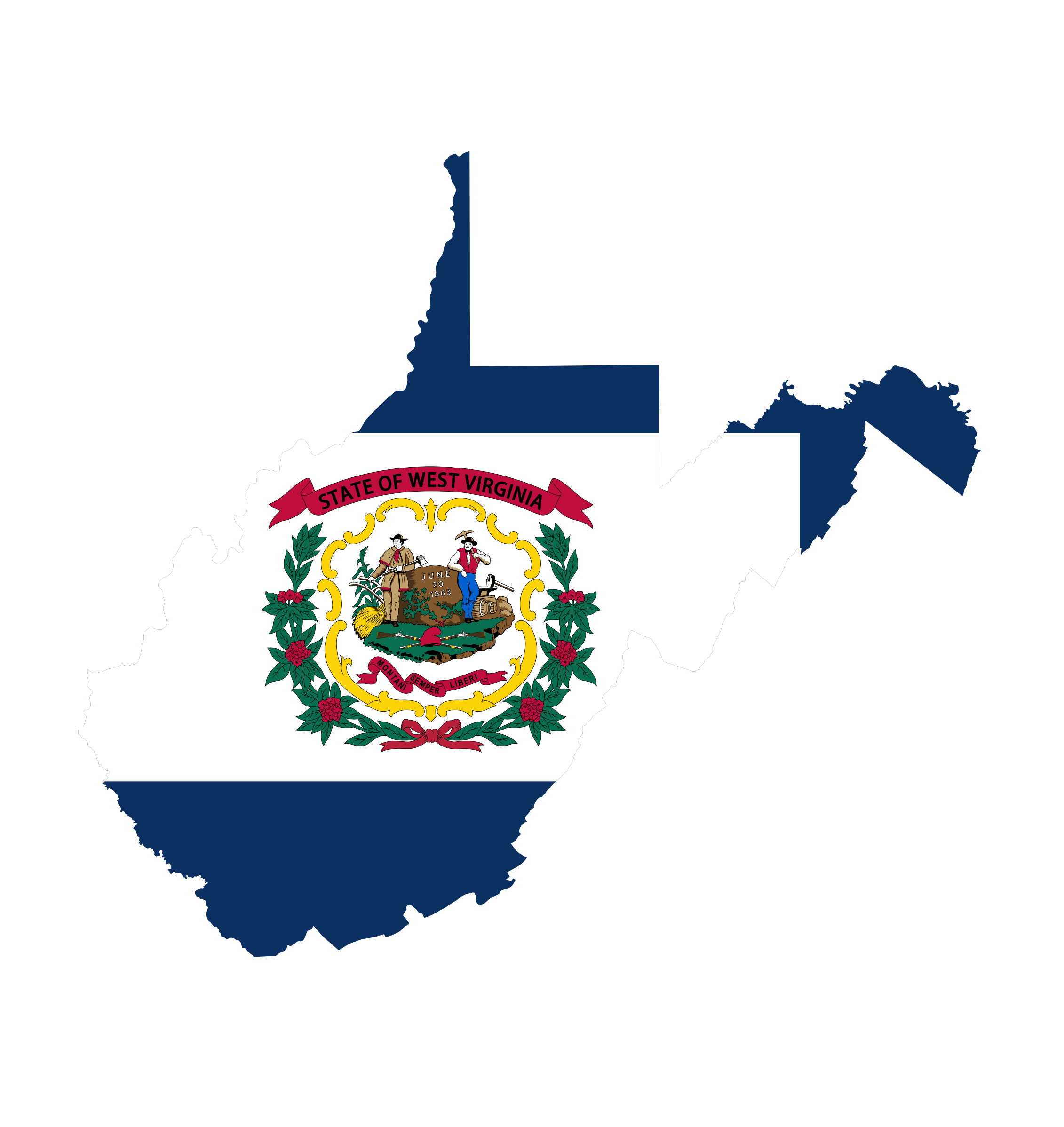 West Virginia Senate Election: Turnout