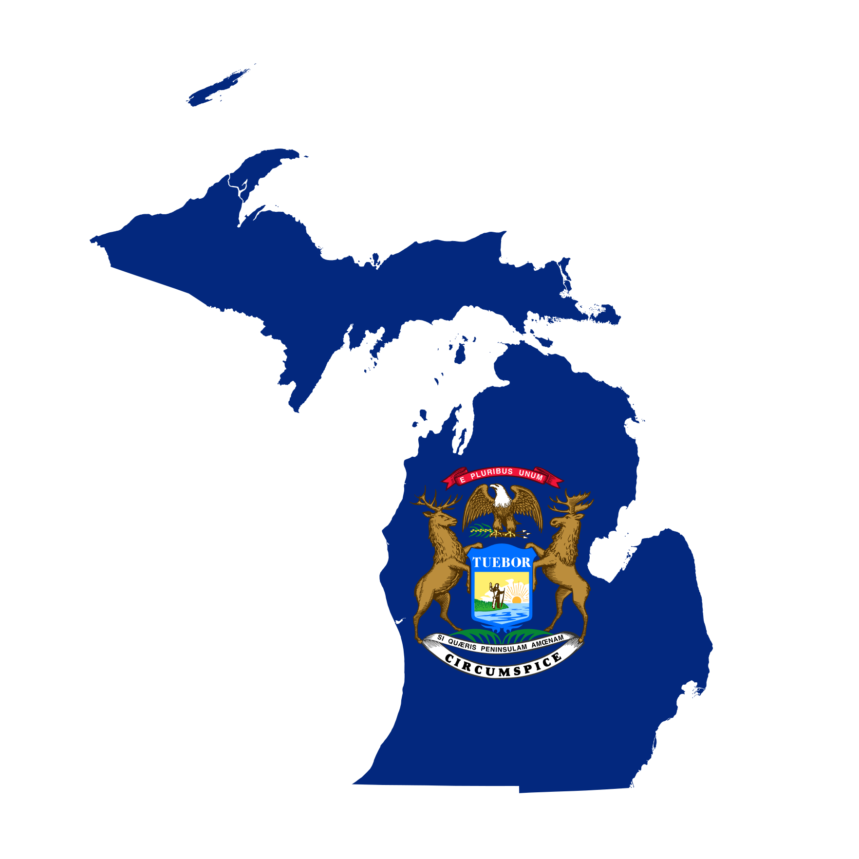 Michigan Senate Election Winner