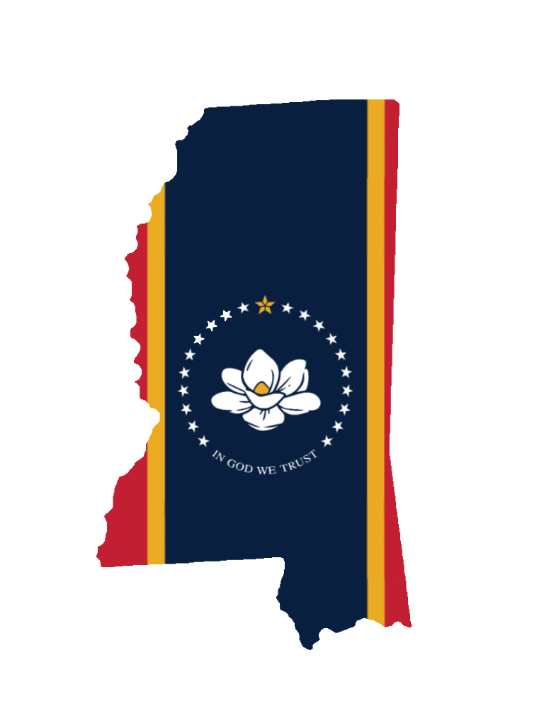 Mississippi Senate Election: Turnout (First Round)