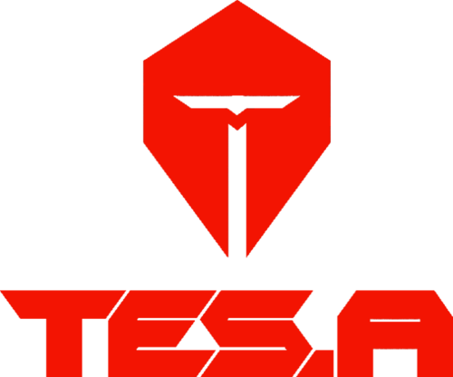 TOP Esports Armor