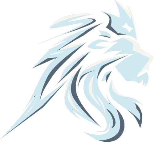 SEIJI ESPORTS