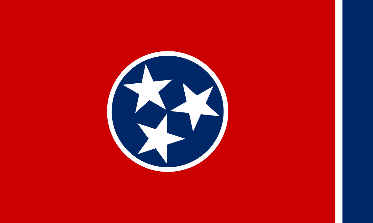 Wie viele Sitze im Repräsentantenhaus werden die Demokraten in Tennessee gewinnen?