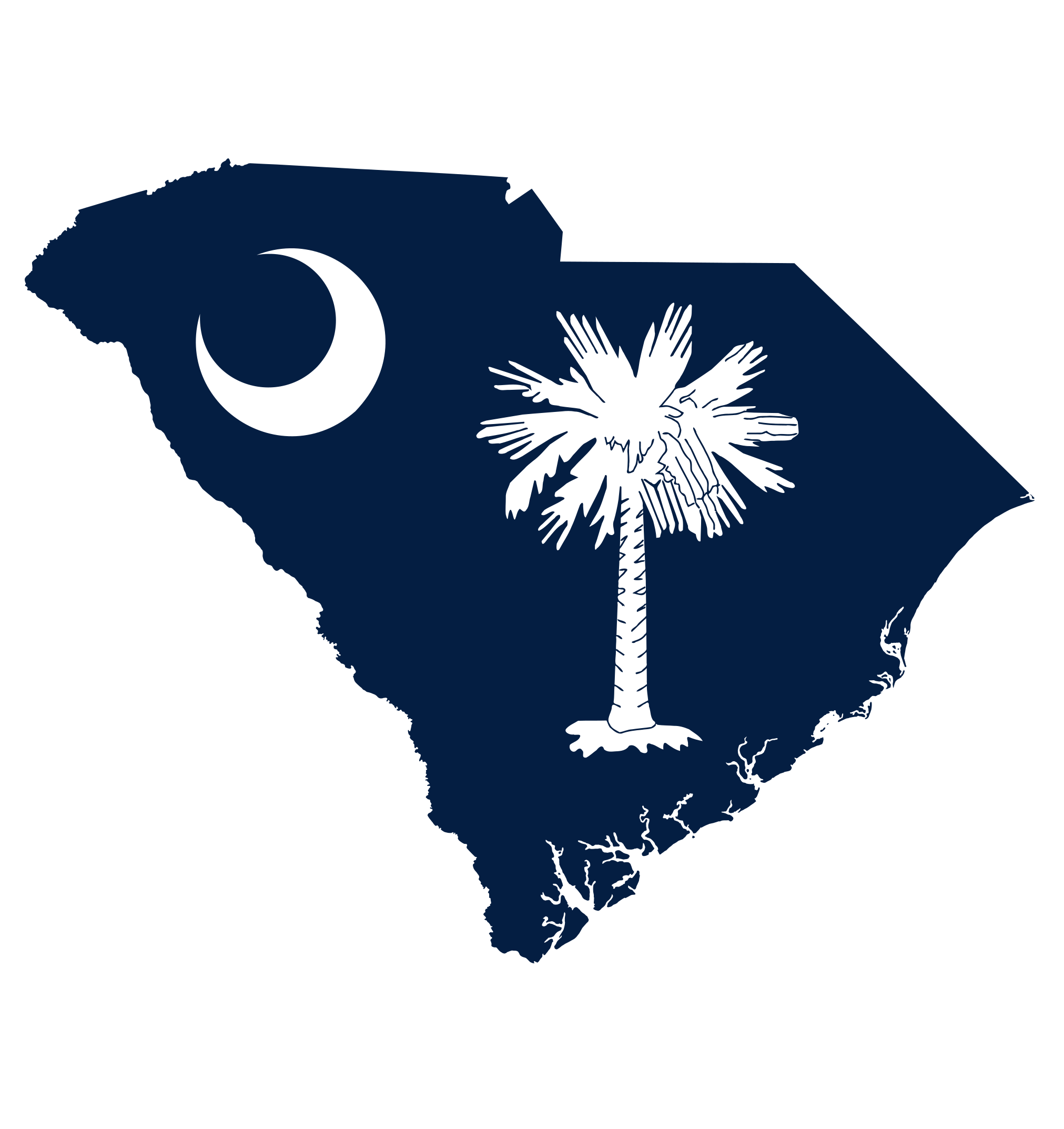 South Carolina Senate Election Winner