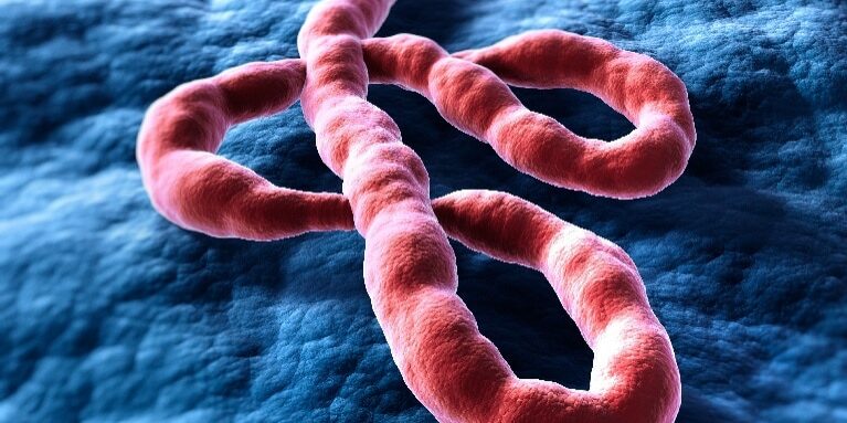 Quais países terão um caso de Ebola em 2026?