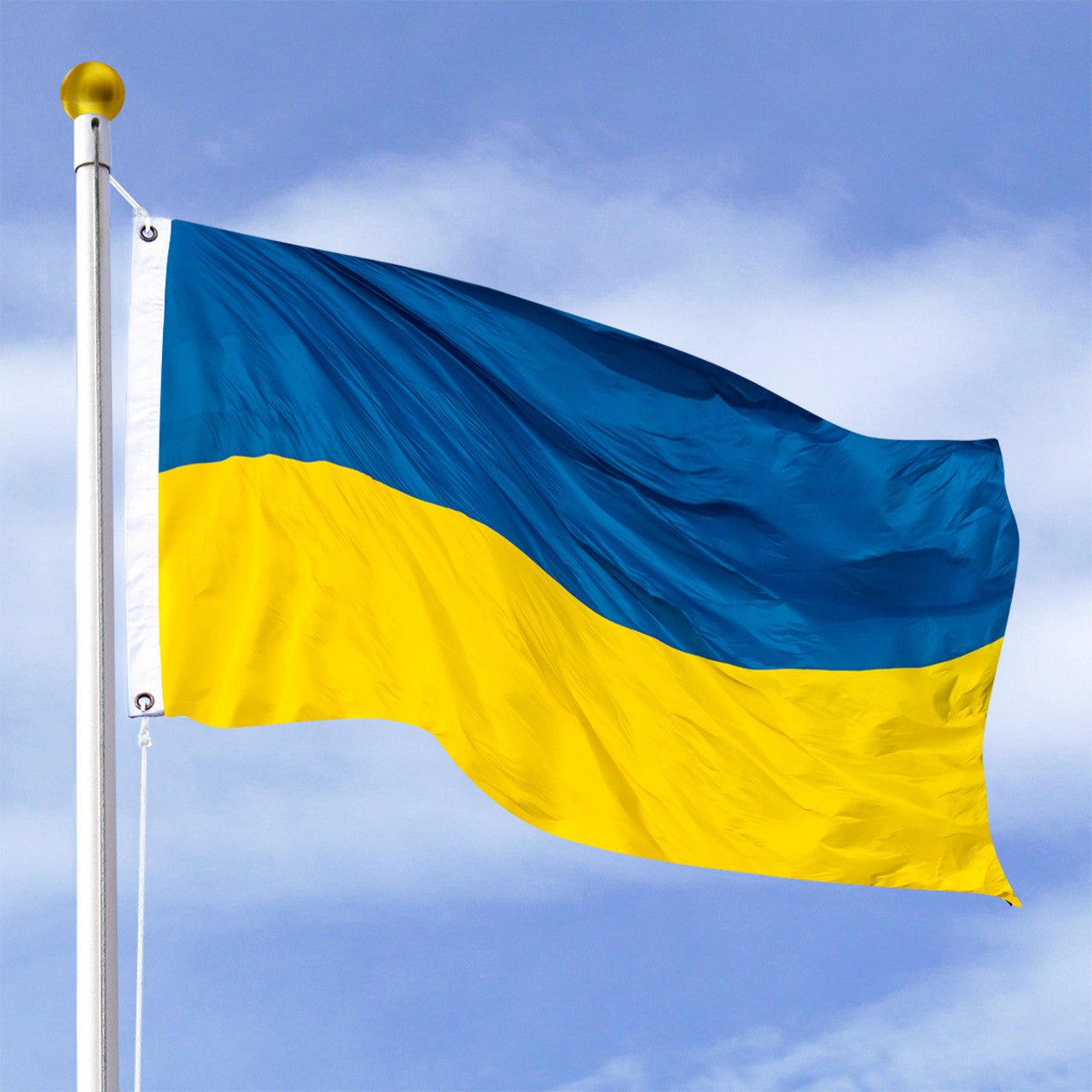 Siapa yang akan mengunjungi Ukraina pada tanggal 31 Desember?